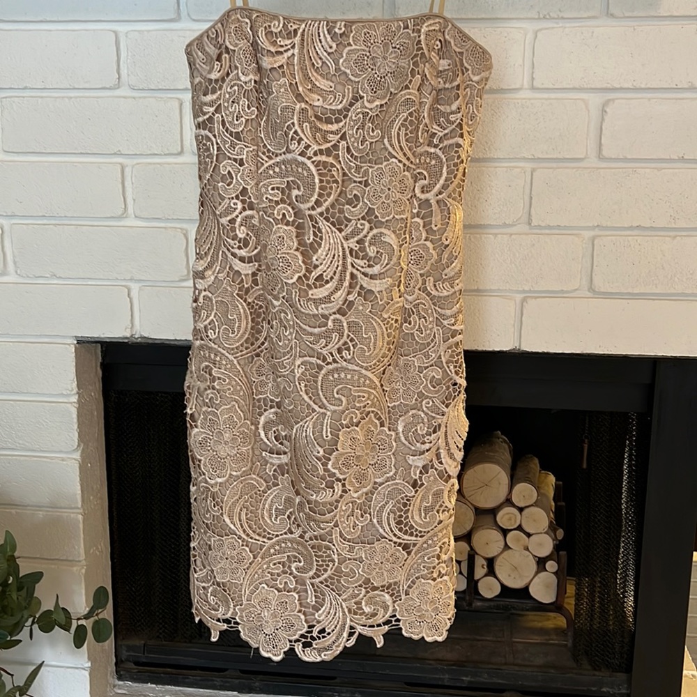 Beautiful Adrianna Papell dress • Size 4